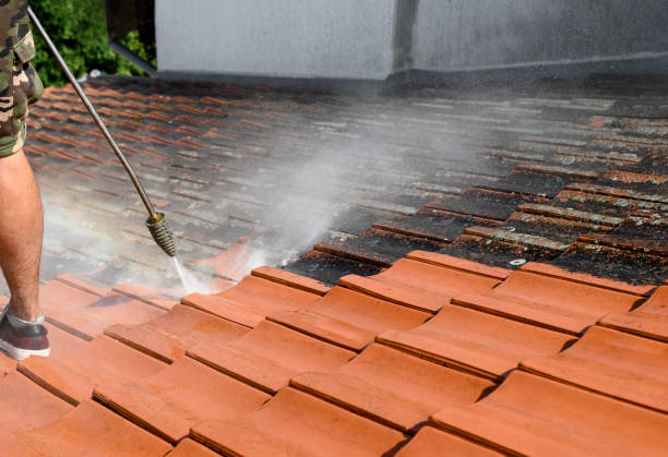 Best House Pressure Washing  in Plymouth, WI